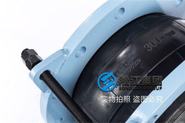 貴州王車水庫(kù)工程DN300，PN16防拉脫橡膠減震接頭