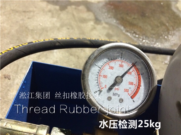 規(guī)格:DN32，DN40,DN50連接形式:螺紋連接，可曲撓橡膠接頭