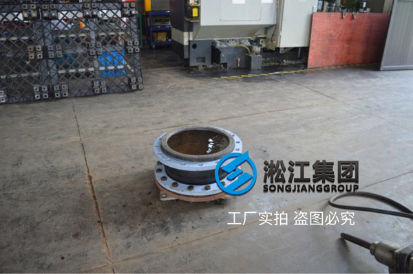 DN250-PN16-RF，材質EPDM橡膠接頭