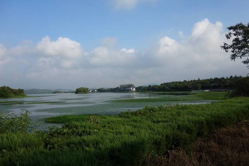 蘇州太湖國家旅游區SUS304耐高壓橡膠伸縮節
